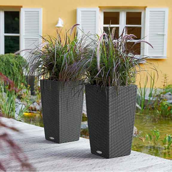 Indoor Outdoor Self-Watering Planter for Flowers and Plants