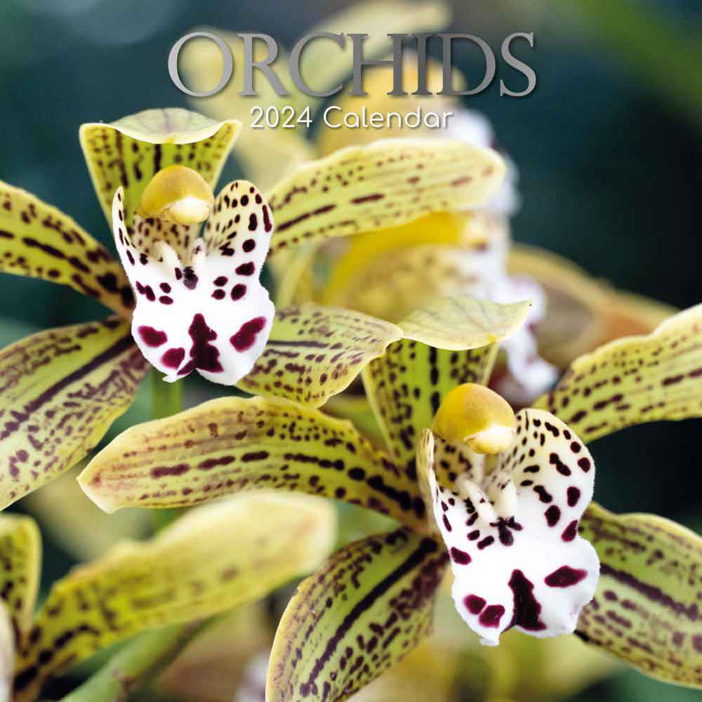 2024 Orchids Wall Calendar | Botanical Calendars Flowers Plants