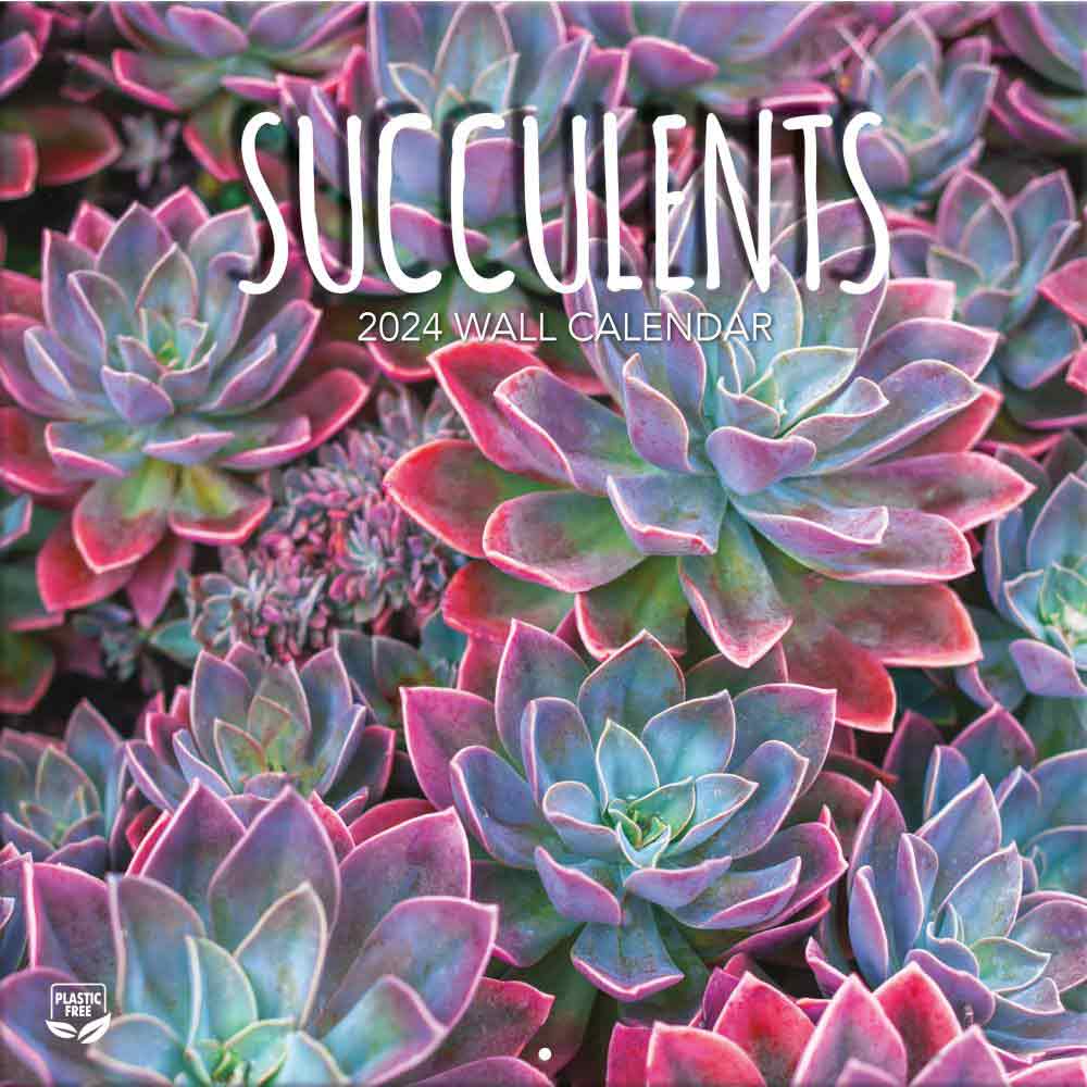 Wall Calendar Succulent Plants for 2024