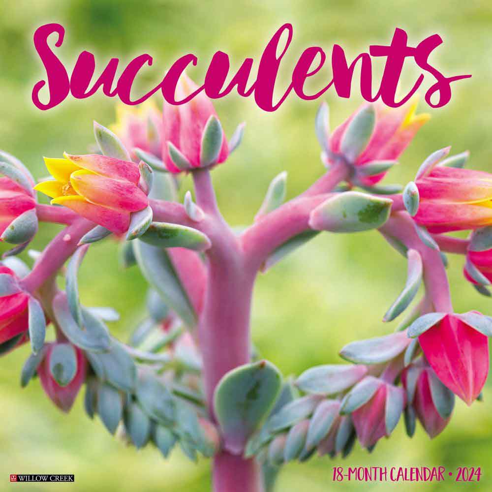 2024 Succulent Plants Calendar | Plant Photography Calendar