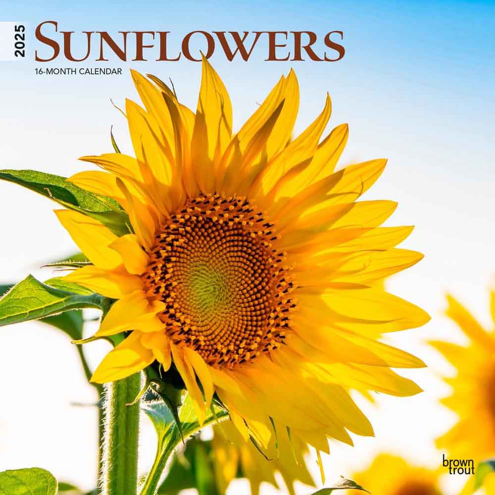 2025 Calendars Wall Desk | Plants Flowers Botanical