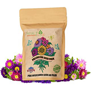 Buy Seeds Flowers for Gardening Growing