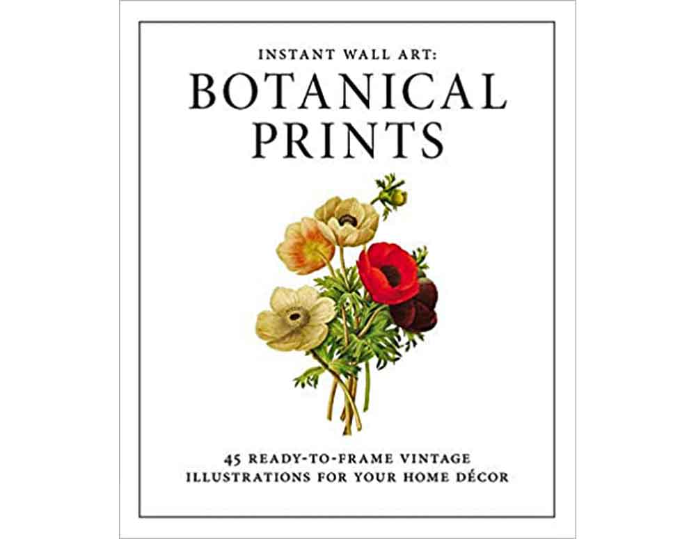 45 Ready to Frame Vintage Botanical Art Prints