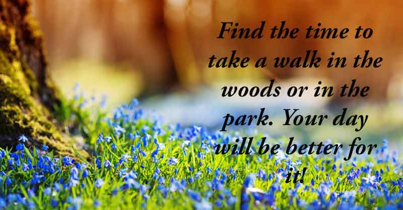 Picture A Walk in the Park | Green Grass Blue Flowers