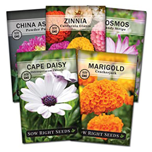 Buy Flower Seeds | Gardening Growing Five Types of Flower Seeds
