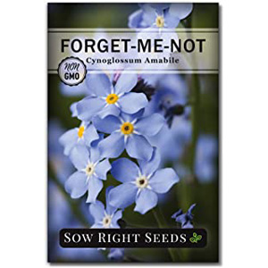 Buy Flower Seeds | Gardening Growing Seed Forget-Me-Nots Flower Seeds
