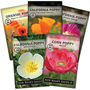 Buy Flower Seeds | Gardening Growing Seed Poppy Flower Seed Collection