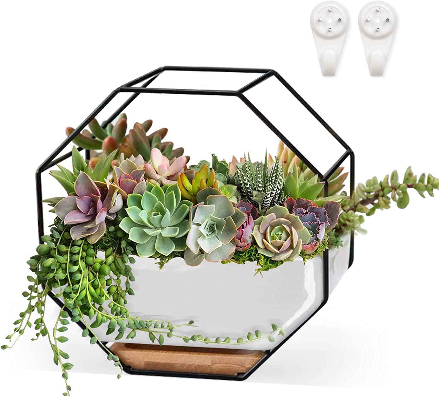 Ceramic Planter with Frame