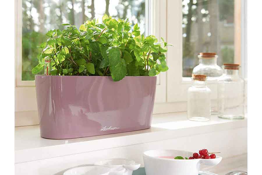 Table Planter Window Box | Self-Watering Plant Flower Pots