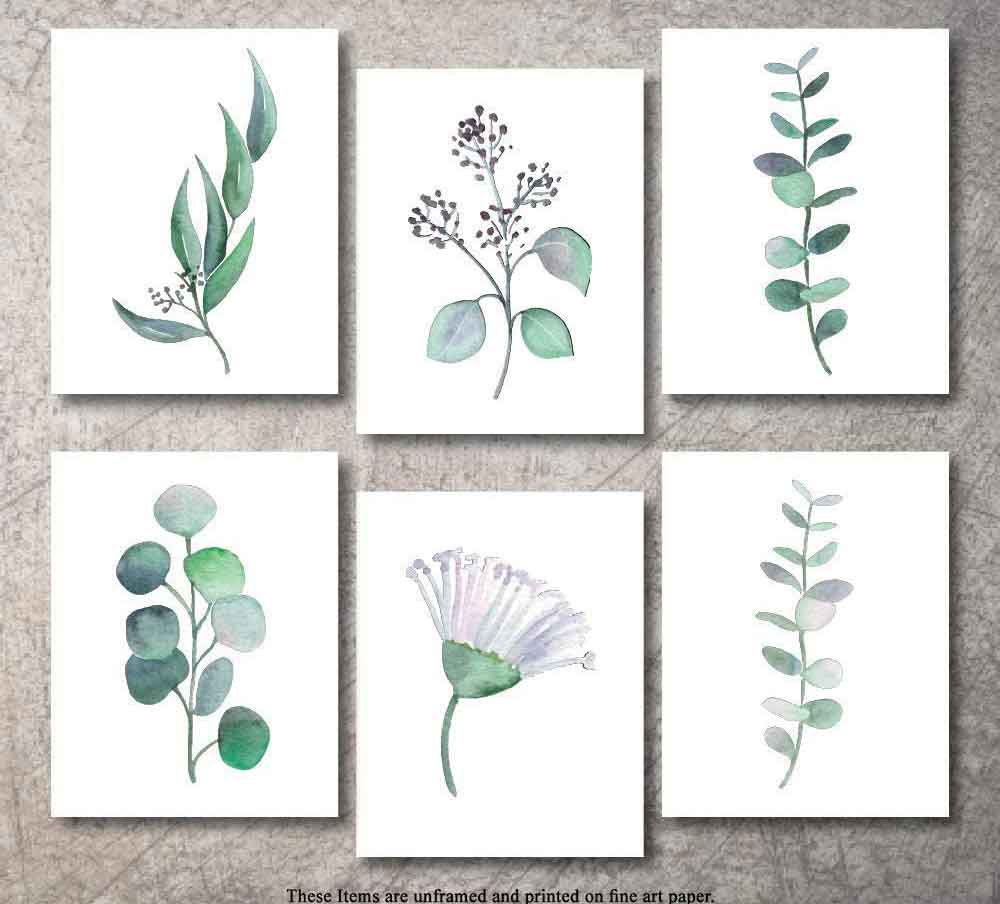 Set of Botanical Art Prints | Eucalyptus Flowers Plants Art