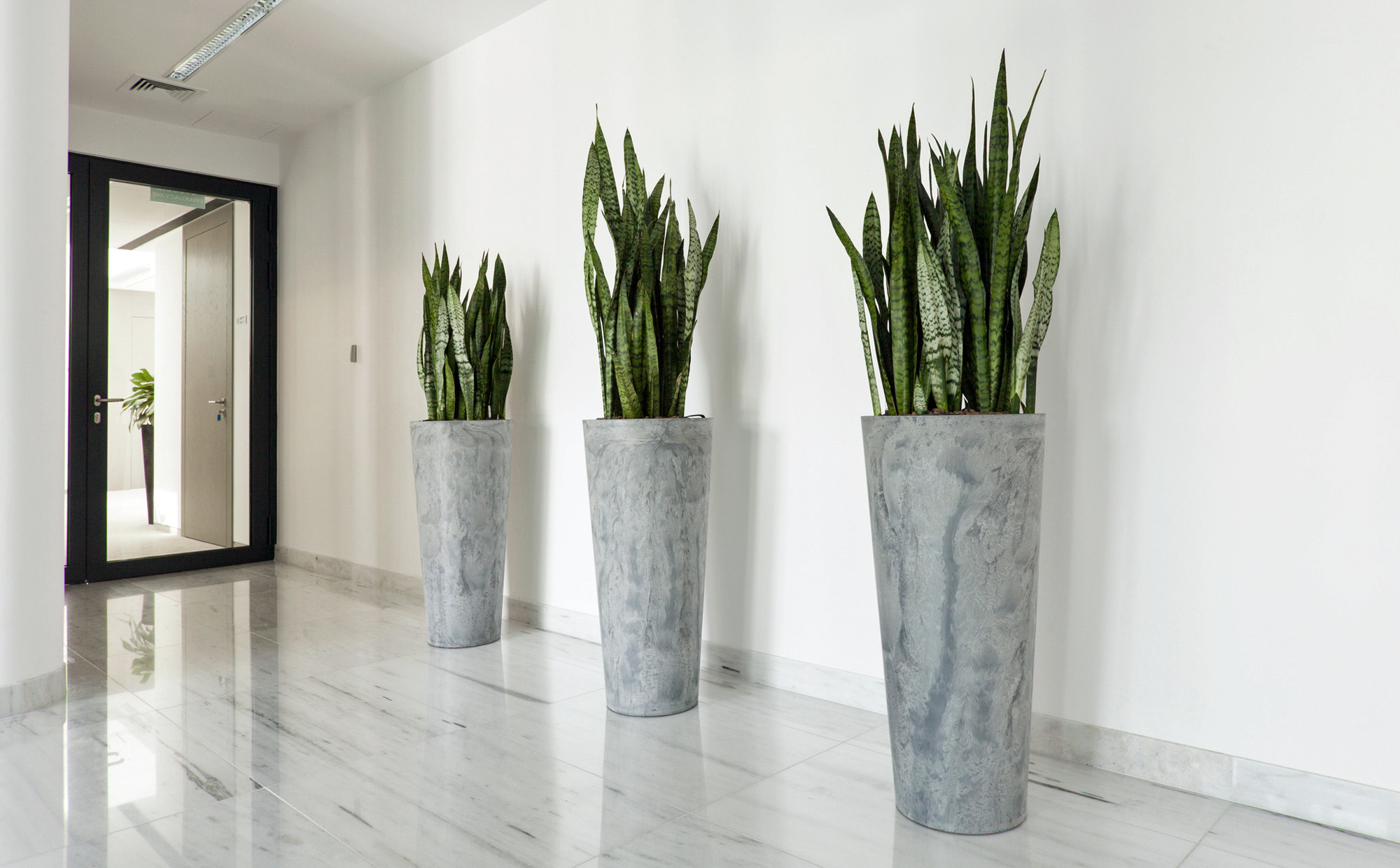 Interior Landscape - Interior Plant Care Huntersville NC