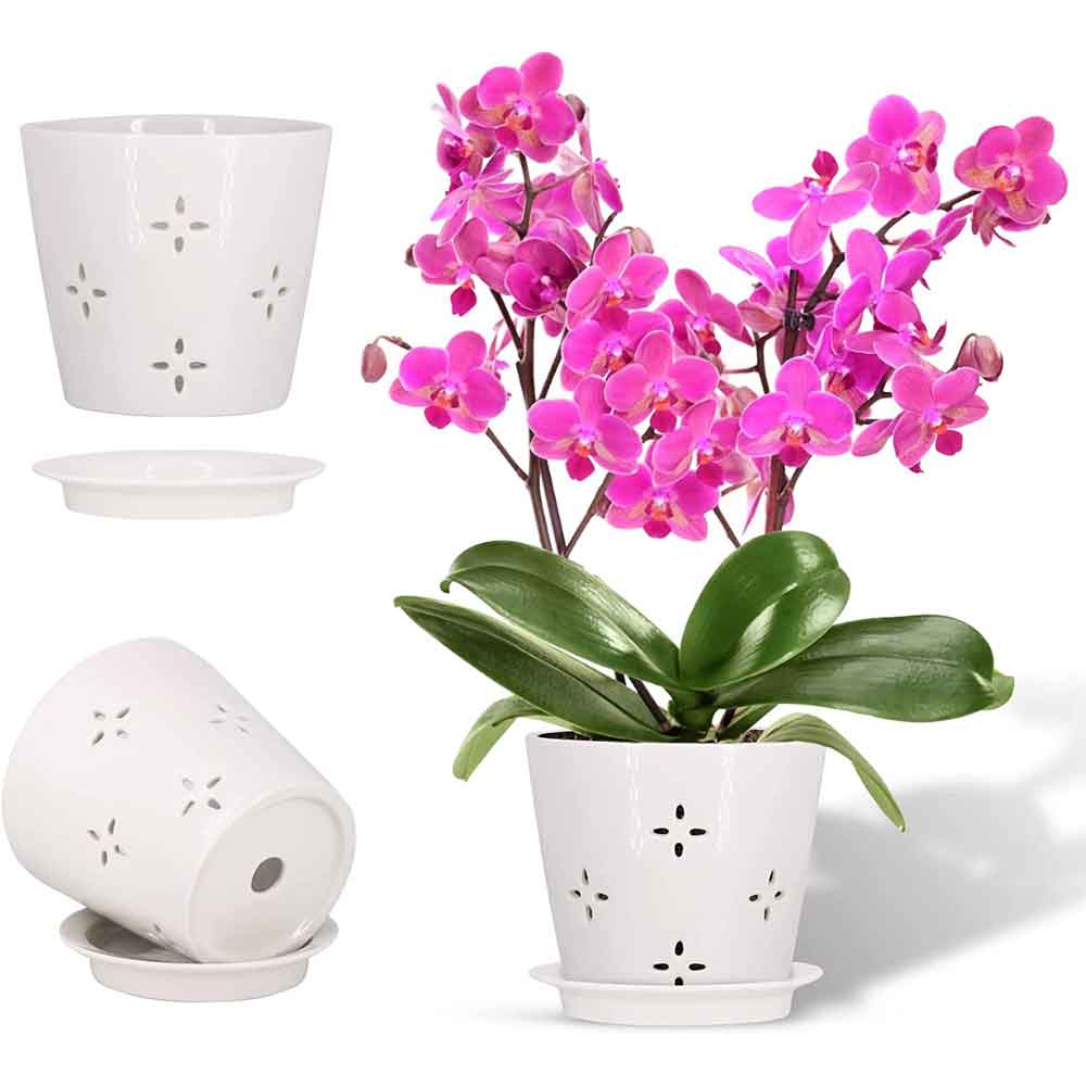 Orchid Self-Watering Planter | Indoor Plants Flowers
