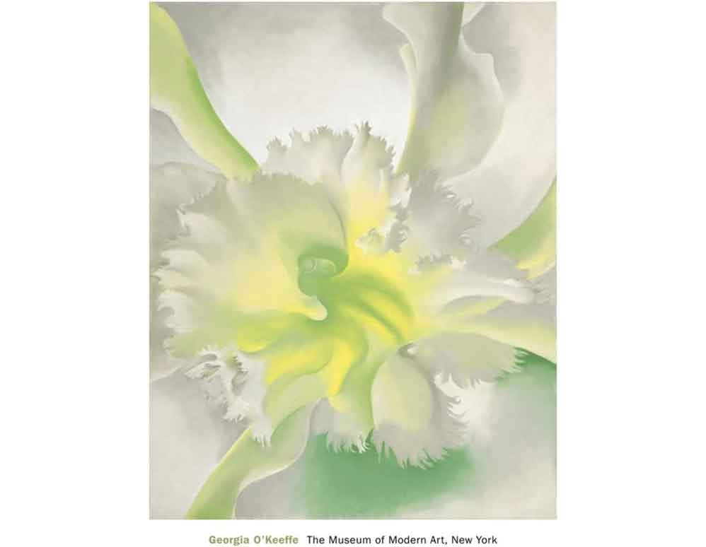 Orchid Flower Georgia O'Keeffe | Flowers Plants Art