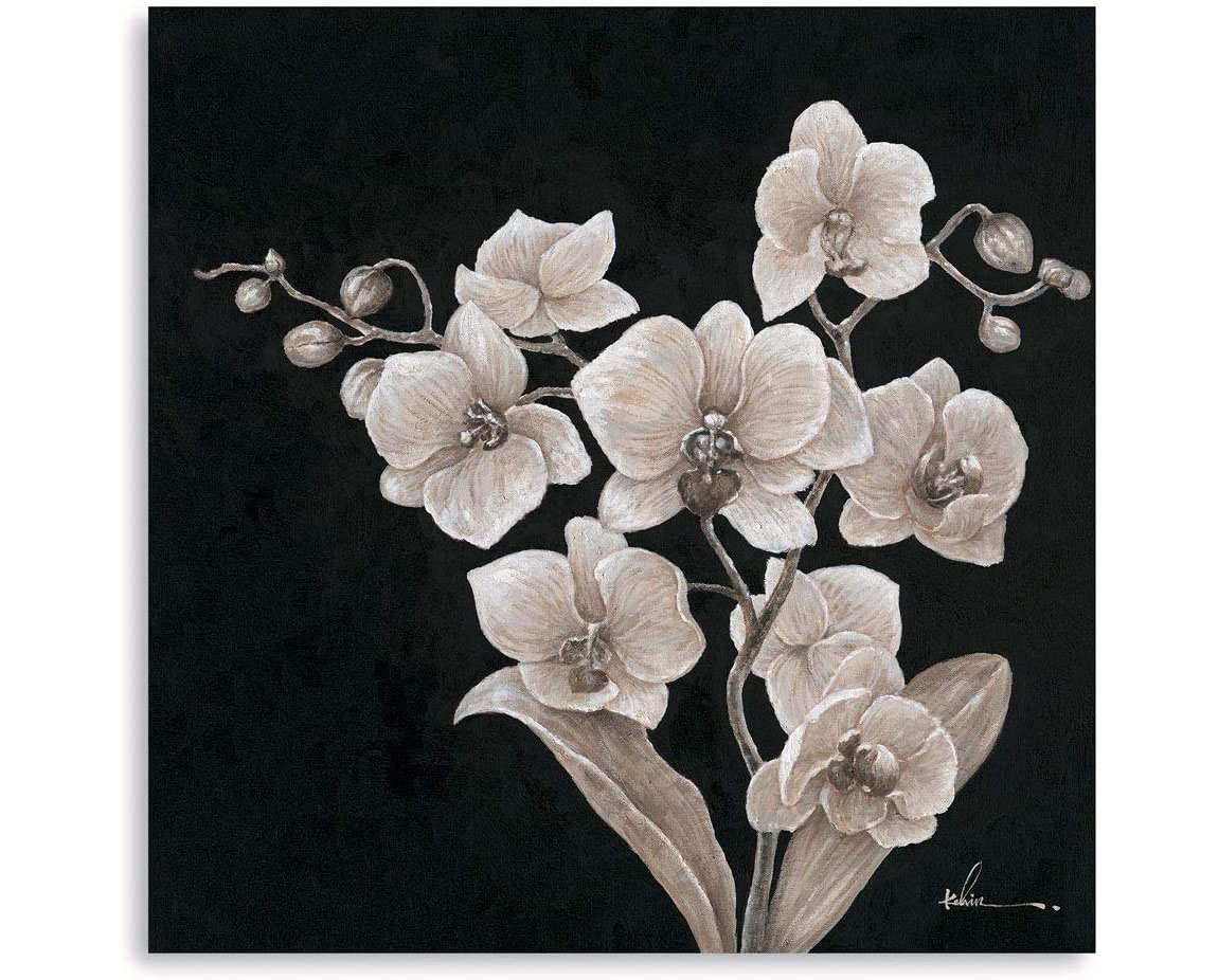 Orchid Canvas Wall Art Black and White | Flowers Plants Art