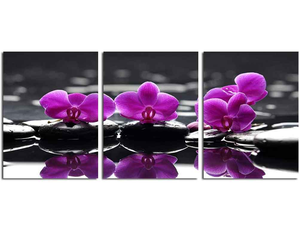 Plants Flowers Art | Purple Orchid Flowers Zen