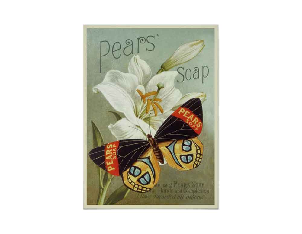 Plant Flower Poster Pear's Soap Ad Butterfly White Lily