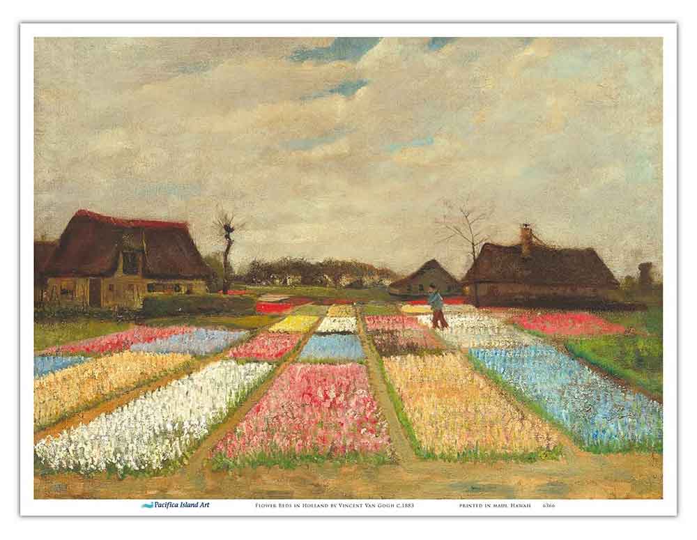 Plant Flower Poster Art Holland Flower Bed by Vincent van Gogh