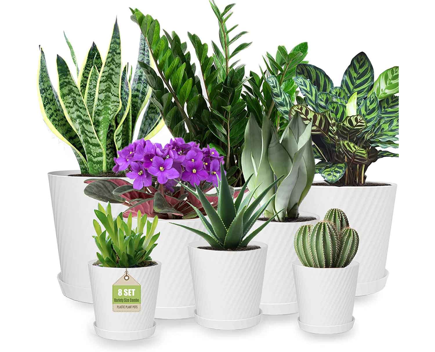 Plastic Planters Set of 8
