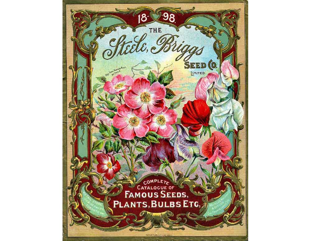 Plant Flower Poster Steele Briggs Seed Co. | Art Flowers Plants