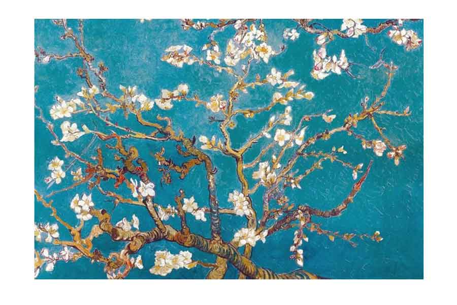 Plant Flower Poster Almond Branches in Bloom, Vincent Van Gogh