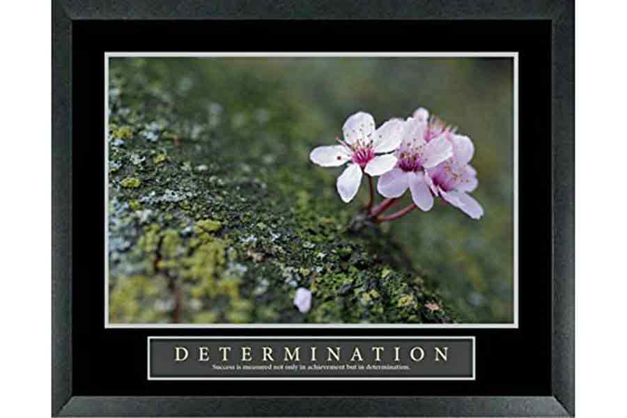 Motivational Poster Art | Determination Flowers Plants