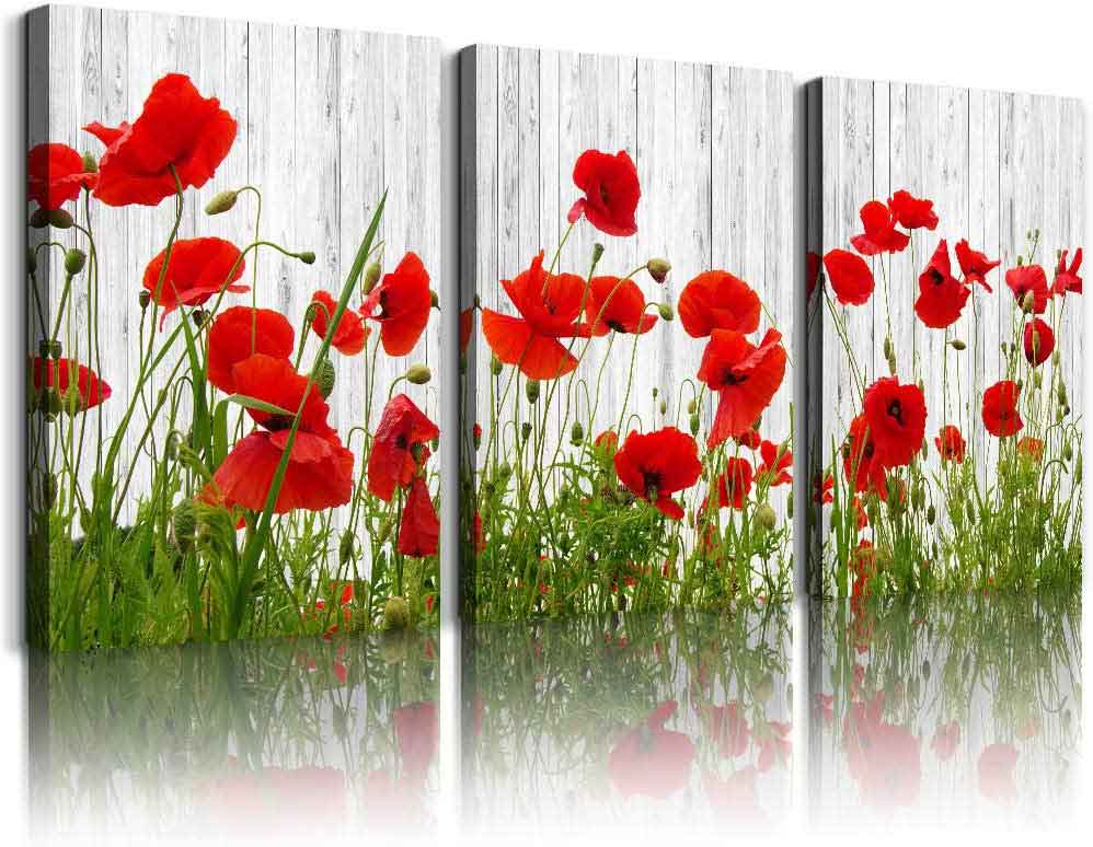 Red Poppies Art Panels | Orchids Flowers Art
