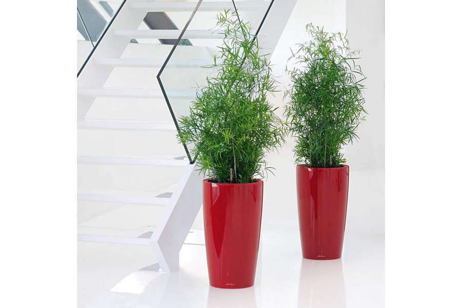 Scarlet Red Planter | Plant Flower Pots Container