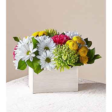 Sorbet Bouquet - Flowers and Plants Delivered