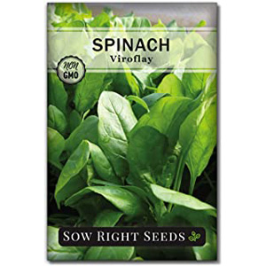 Buy Vegetable Seed | Spinach Seeds for Garden Planting