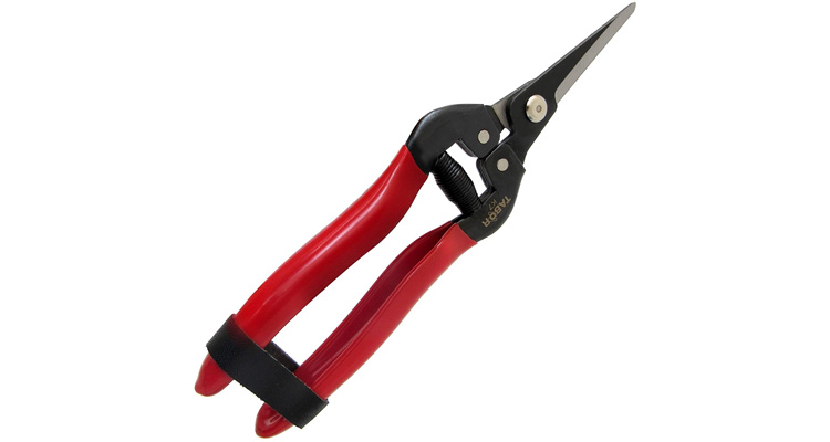 Buy Live Plants | Tabor Straight Blade Pruner Trimmer