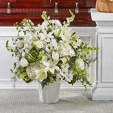 Tranquility Flower Display | Plants Flowers Gifts Delivery