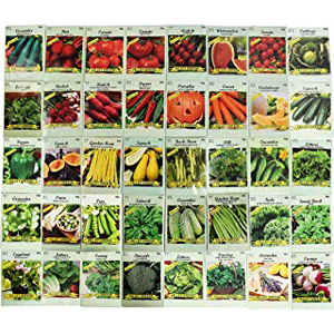 Buy Vegetable Seed | 40 Assorted Herb and Vegetable Seed Packets