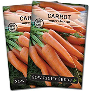 Buy Vegetable Seed | Carrot Seeds for Garden Planting