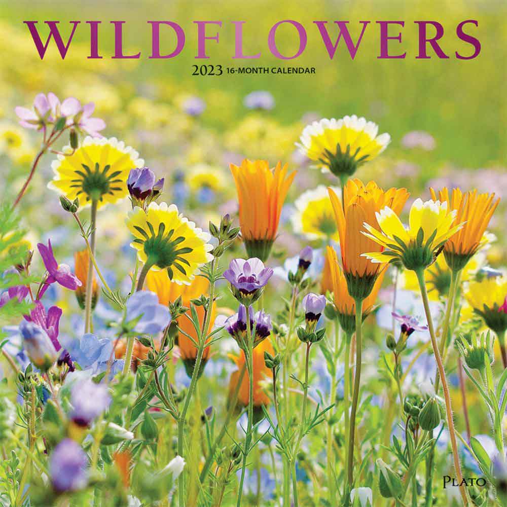 Wildflowers Wall Calendar | Flowers Plants Calendars