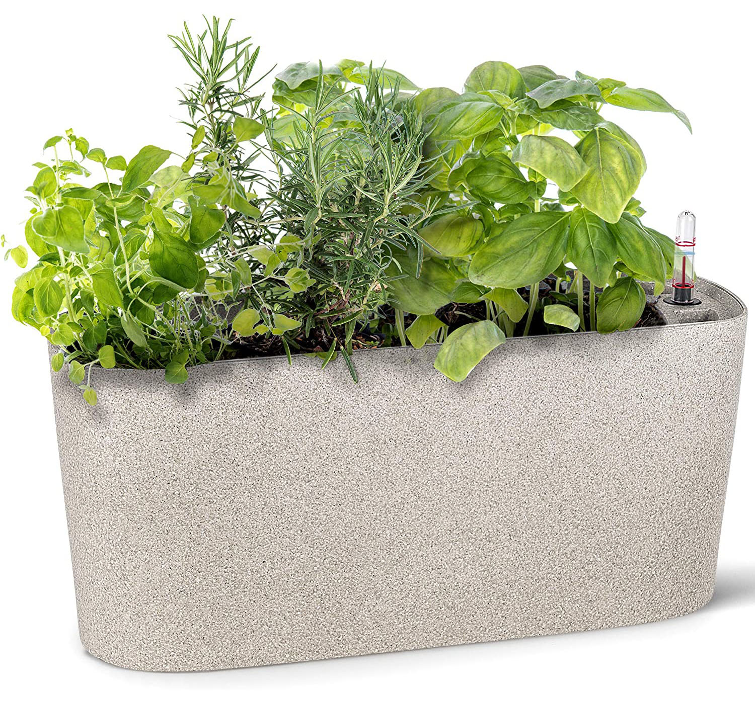 Windowsill Self-Watering Planter