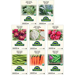 Buy Vegetable Seed | Winter Vegetables Broccoli, Beet Carrot Cauliflower Green Bean Kale Pea Radish
