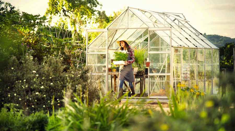 Woman Gardening in Home Greenhouse