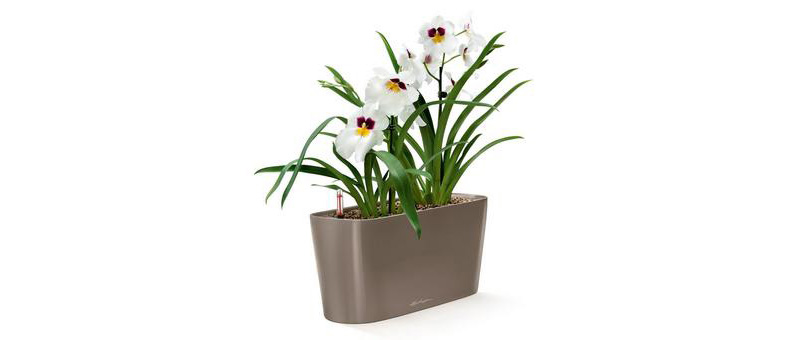 Table Planter Window Box | Plant Flower Pots