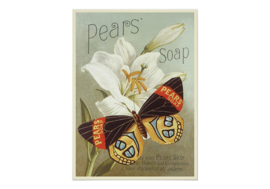 Plant Flower Poster Pear's Soap Ad Butterfly White Lily