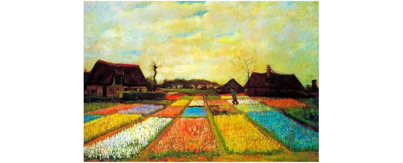 Holland Flower Bed Van Gogh | Plant Flower Poster