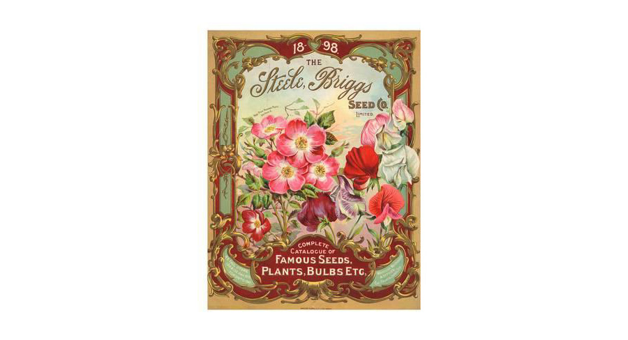 Plant Flower Poster Steele Briggs Seed Co.