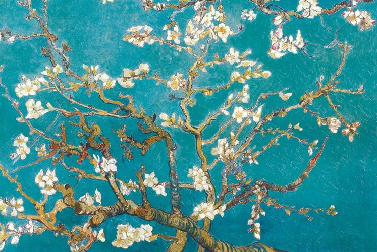 Almond Branches in Bloom 1890 van Gogh | Art Print Poster